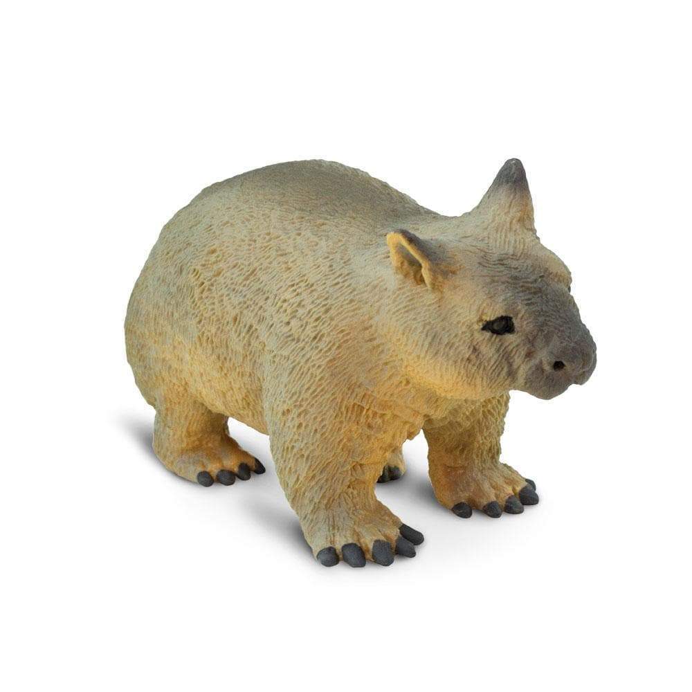 Safari, Toys & Figurines, Gifts, 641222, Wombat